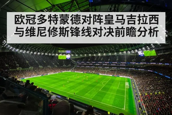champions league stadium night
