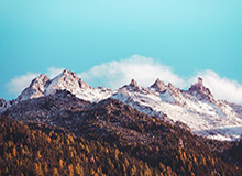 开云体育官方-乒超女团深圳大学逆转夺冠 陈梦：这是团队的胜利